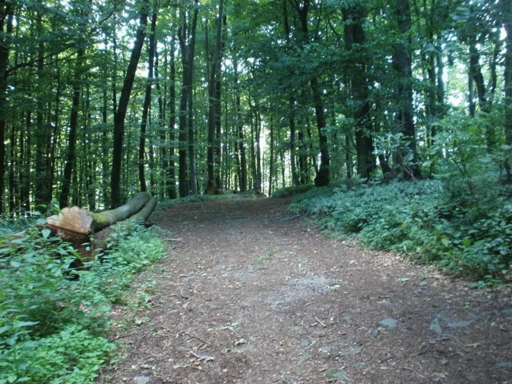 Ferienwohnung Irmgard Und Ferienwohnung Gerlinde Waldbrunn  Экстерьер фото